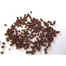 Seedbeads
